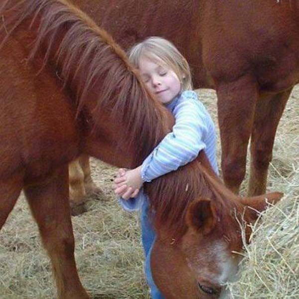 little girl with horse