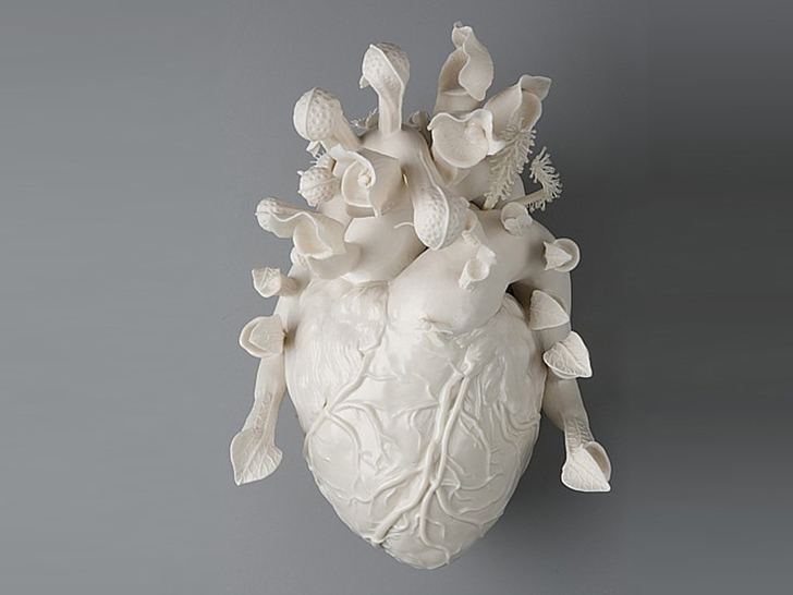 kmacdowell heart